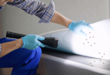 Anxiety and Insomnia from Persistent Bed Bug Symptoms