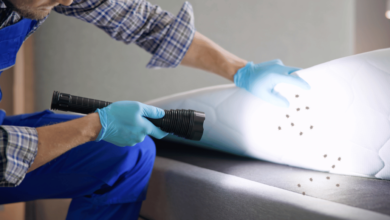 Anxiety and Insomnia from Persistent Bed Bug Symptoms