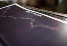 executive insight report overview