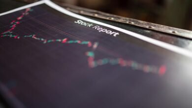 executive insight report overview