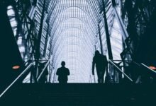 business dynamics insight framework