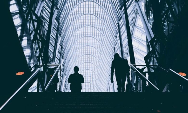 business dynamics insight framework