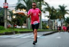 competitive analysis of identifiers