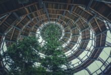 competitive intelligence framework analysis