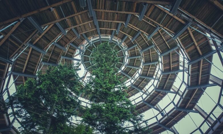 competitive intelligence framework analysis