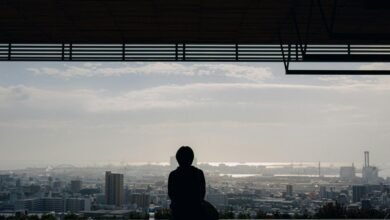 data landscape strategic overview