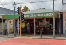 market signal interpretation summary