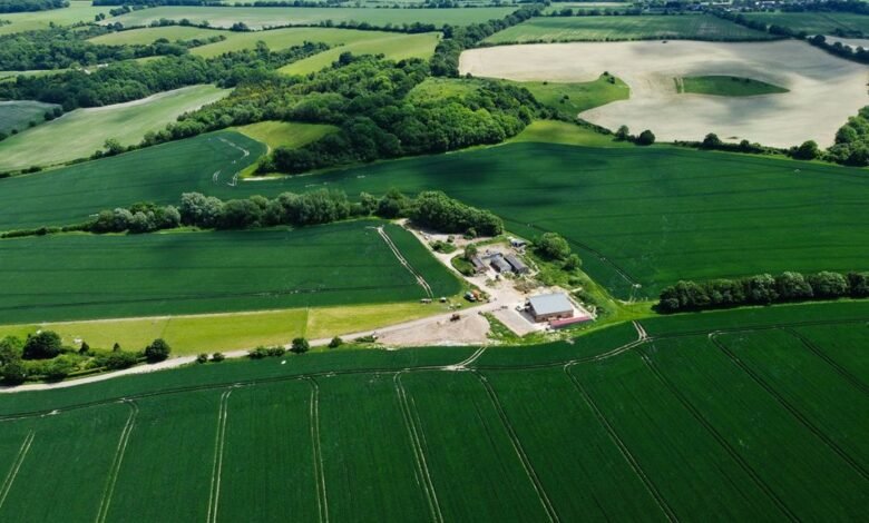 multi sector signal consolidation overview