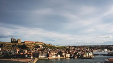 signal correlation analysis overview